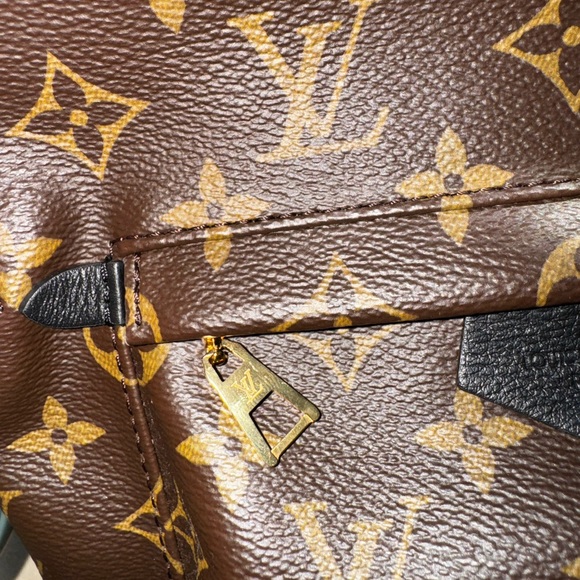 LOUIS VUITTON MONOGRAM PALM SPRINGS PM - Picture 4 of 7